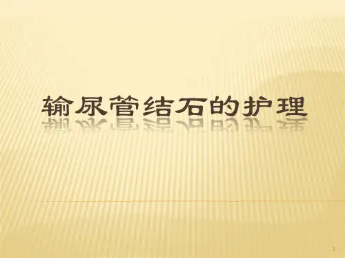 输尿管结石课件