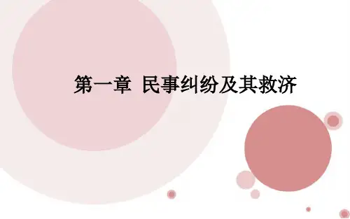 《民事纠纷》PPT课件