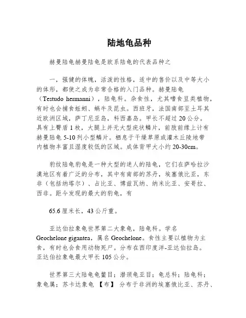 陆地龟品种
