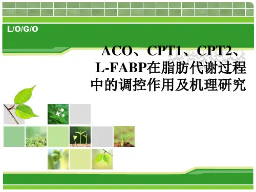 ACO、CPTI、CPTII、L-FABP 等脂代谢中关键酶的研究进展