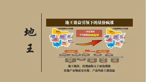新密项目前期定位报告