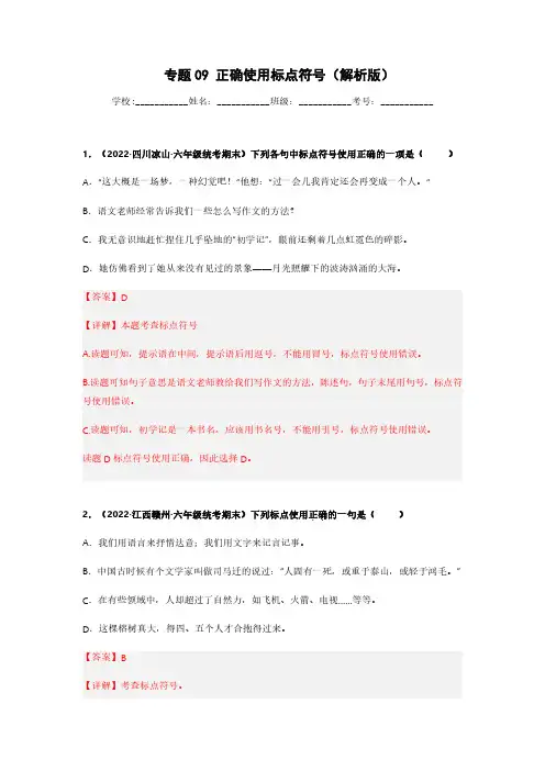 专题09 正确使用标点符号-语文专项训练试卷(解析版)