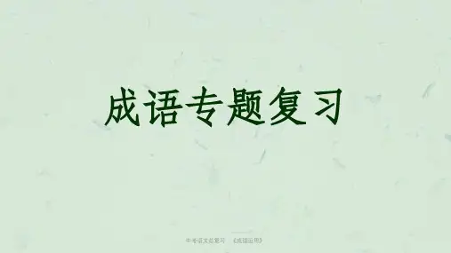 中考语文总复习：《成语运用》课件