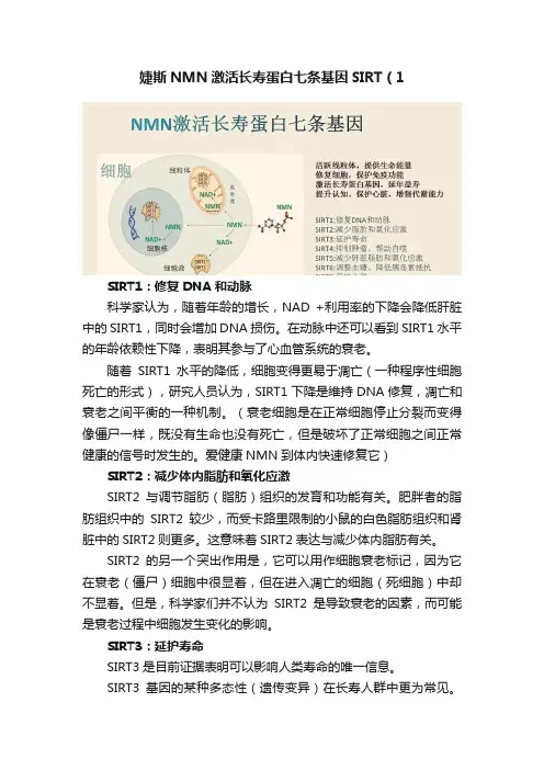 婕斯NMN激活长寿蛋白七条基因SIRT（1