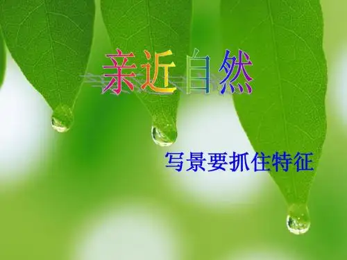 高中作文指导课件：写景要抓住特征