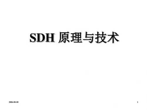 1SDH原理与技术-201页PPT精品文档