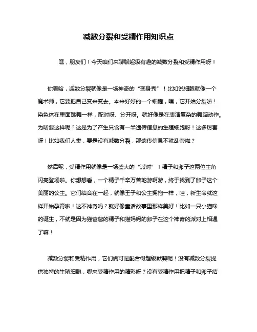 减数分裂和受精作用知识点