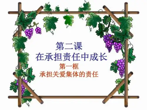 2017人教版九年级政治全册1.2.2 承担对社会的责任 (共28张PPT)