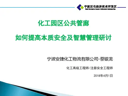 10、2018化工园区公共管廊如何提高本质安全及智慧管理研讨-蔡