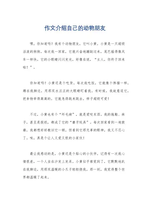 作文介绍自己的动物朋友