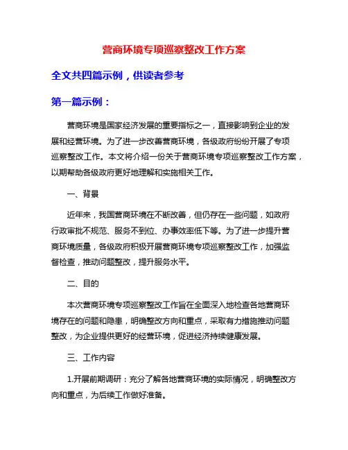 营商环境专项巡察整改工作方案
