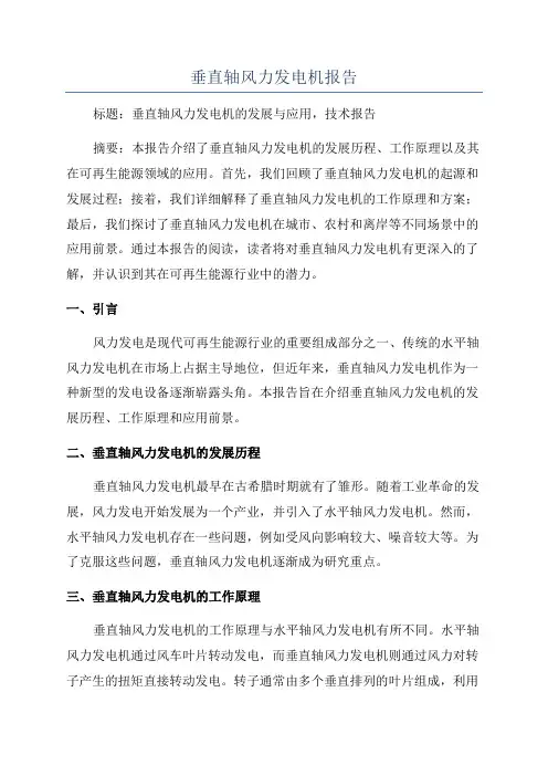 垂直轴风力发电机报告