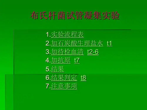 布氏杆菌试管凝集