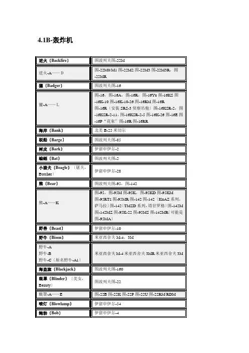 俄国系列飞机介绍