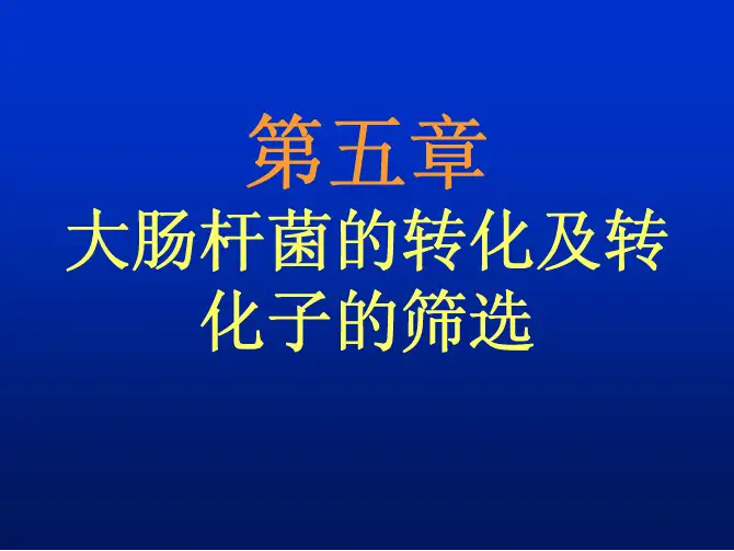 大肠杆菌的转化及转化子的筛选