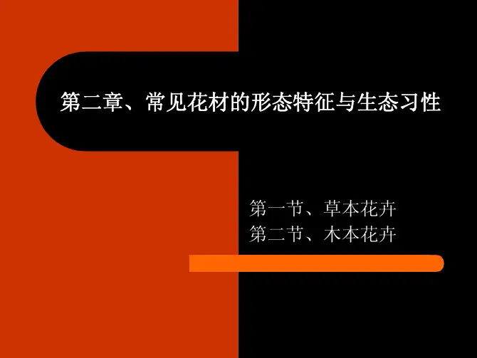 常见插花花材图片集