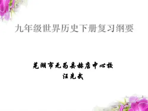 2013年中考历史复习专题——世界现代史(重要资料)