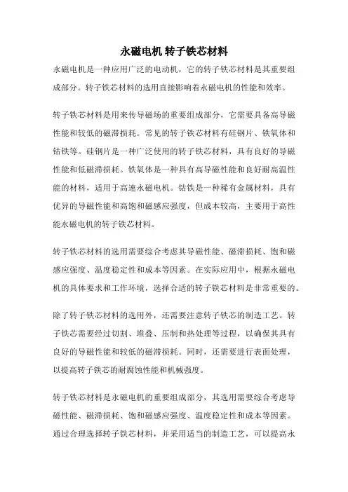 永磁电机 转子铁芯材料