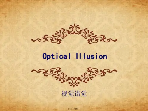 Optical-Illusion视觉错觉