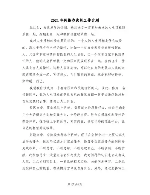 2024年网络咨询员工作计划（二篇）