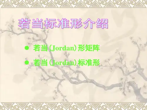 数学代数方法T矩阵若儿当标准型