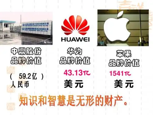 【初中政治】无形的财产PPT课件15