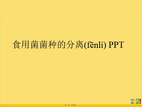 食用菌菌种的分离 PPT标准版文档