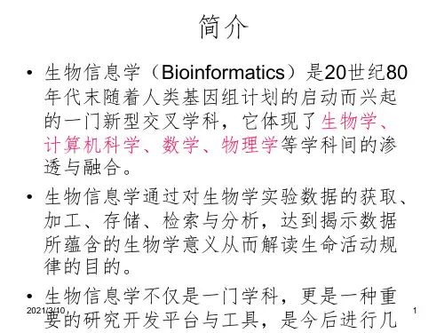 生物信息学课件PPT