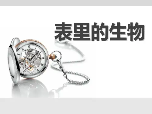 语文S版语文六上《表里的生物》ppt课件