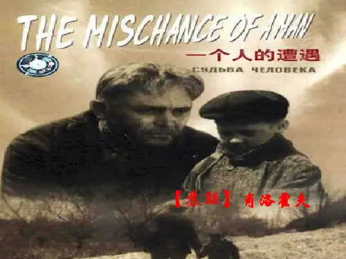 2015—2016高中语文苏教版(必修2)课件：第二专题《一个人的遭遇》(共44张PPT)