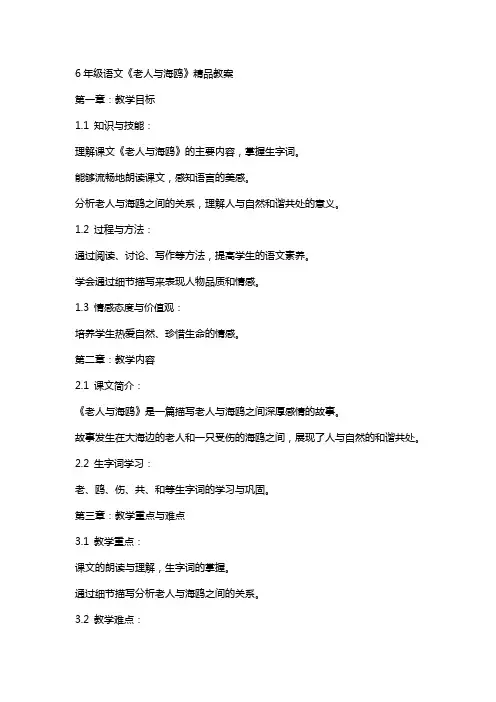 6年级语文《老人与海鸥》教案