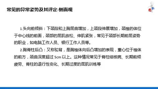 人体形态和反射评定技术(康复评定技术课件)