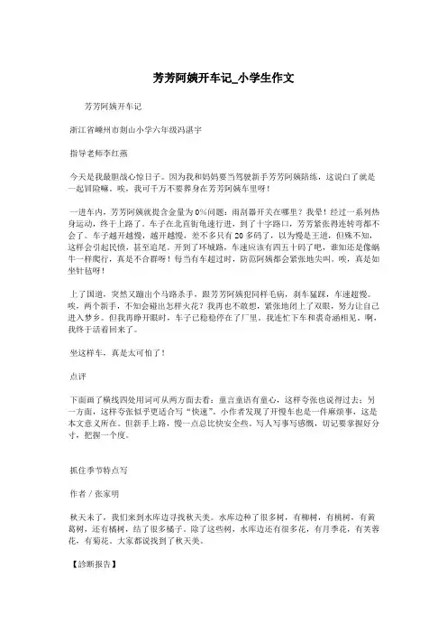 芳芳阿姨开车记_小学生作文.doc