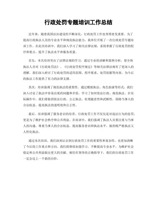 行政处罚专题培训工作总结