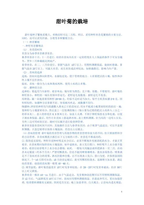 甜叶菊的栽培