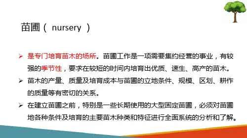 苗圃建立—苗圃建立(林木种苗生产技术课件)