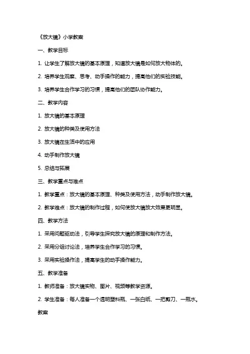 《放大镜》小学教案