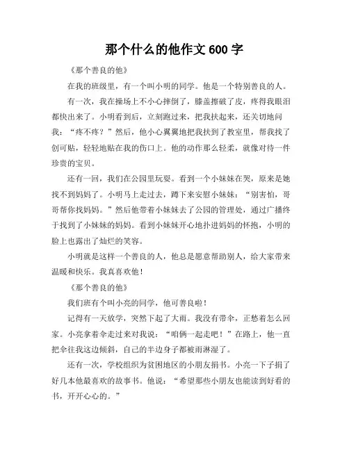 那个什么的他作文600字