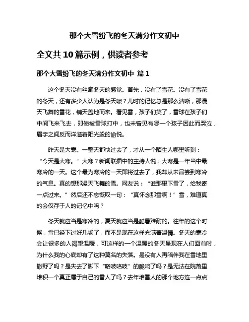 那个大雪纷飞的冬天满分作文初中