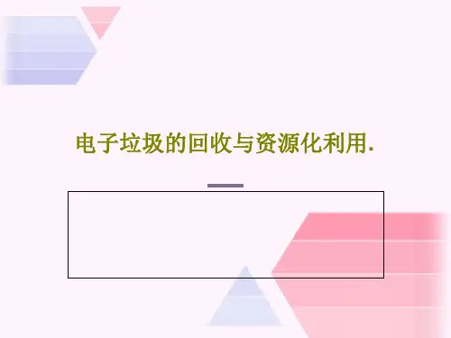 电子垃圾的回收与资源化利用.共48页