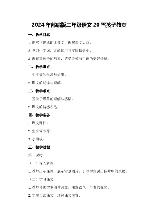 2024年部编版二年级语文20雪孩子教案