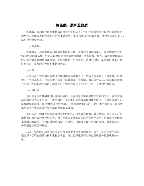 氨基酸、肽和蛋白质
