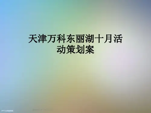 天津万科东丽湖十月活动策划案