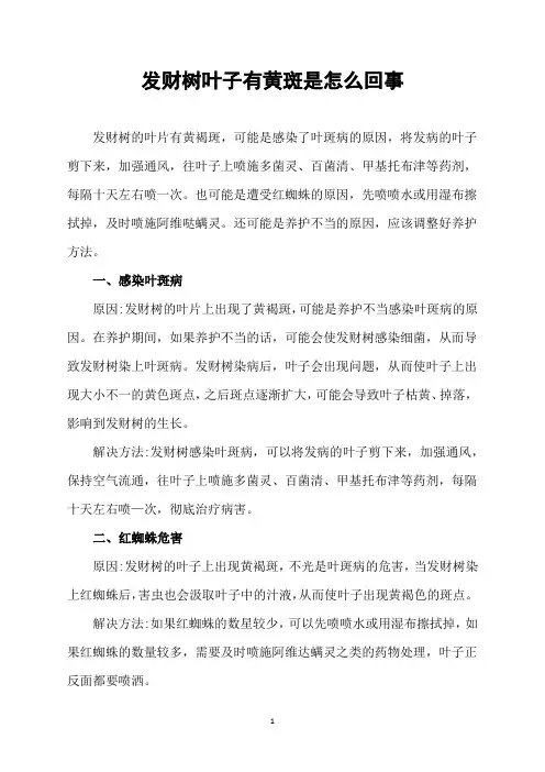 发财树叶子有黄斑是怎么回事