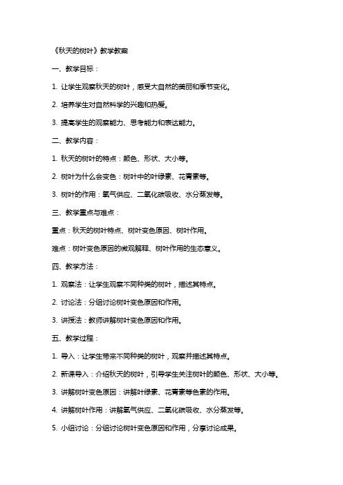 《秋天的树叶》教学教案
