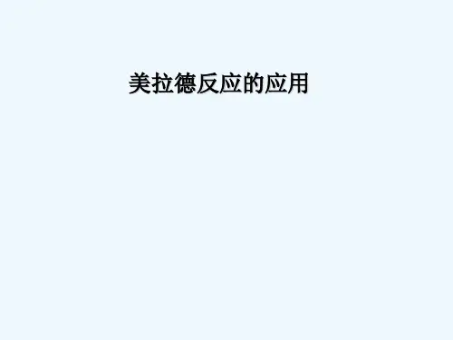 美拉德反应的应用精品专业课件