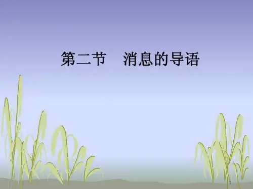 第十章消息的写作(二)