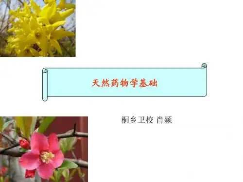 天然药物学基础_绪论