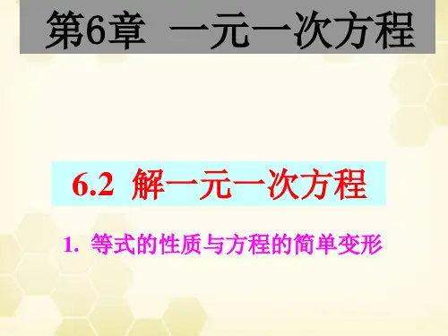 (华东师大版)七年级下册数学：6.2.1 等式的性质与方程的简单变形3