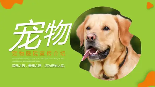 宠物医院介绍宣传PPT模板